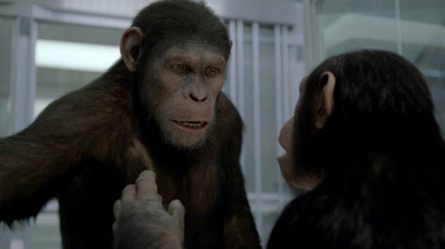 Planeta dos Macacos – A Origem: novo filme é dirigido por Rupert Wyatt Planeta dos Macacos – A Origem: novo filme é dirigido por Rupert Wyatt