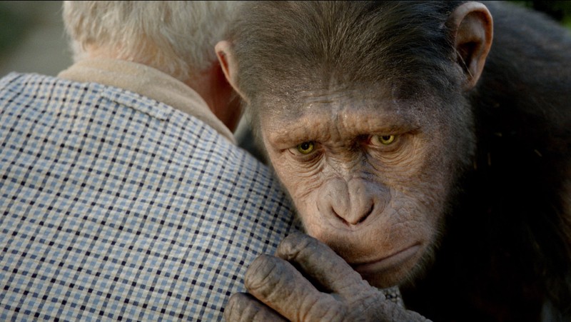 Na história, o macaco Caesar vai conviver com um paciente com Mal de Alzheimer: Planeta dos Macacos - A Origem