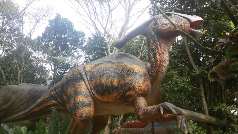 Protoceratops: vivia na China e na Mongólia, há 75 milhões de anos atrás