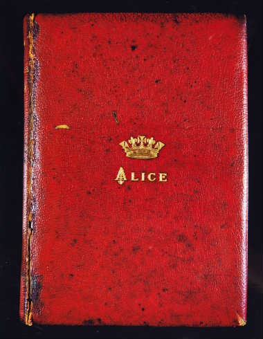 Foto enquadrada do livro Alice por Rômulo Fialdini