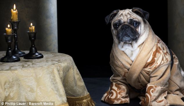 roxy-varys