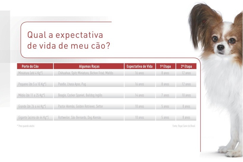 royal-canin