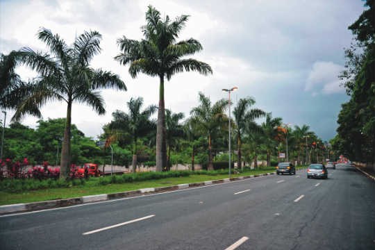 Revitalização: canteiros arborizados transformaram a Avenida Braz Leme