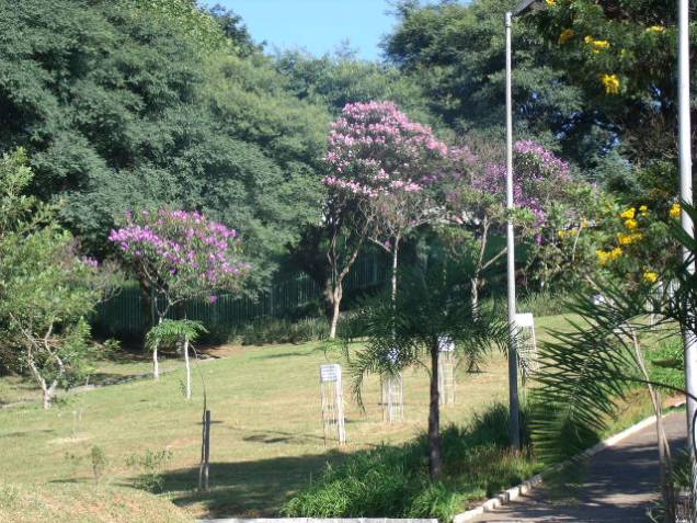 Parque Santa Amélia: opção de lazer no Jardim das Oliveiras