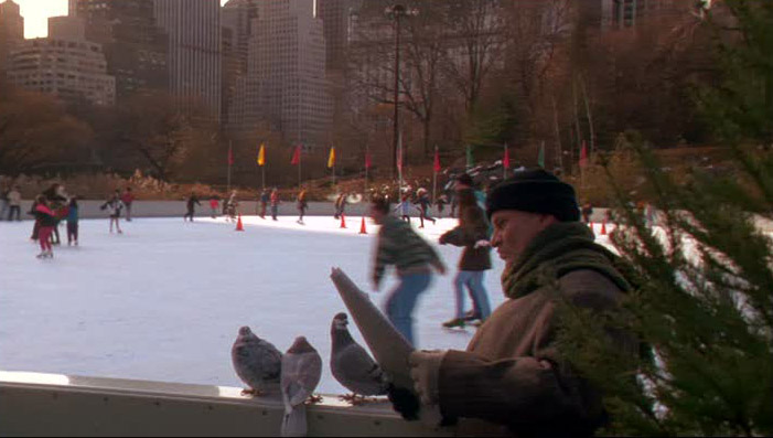 Os bandidos Harry e Marv planejam mais um crime, enquanto aproveitam para patinar no gelo no Central Park