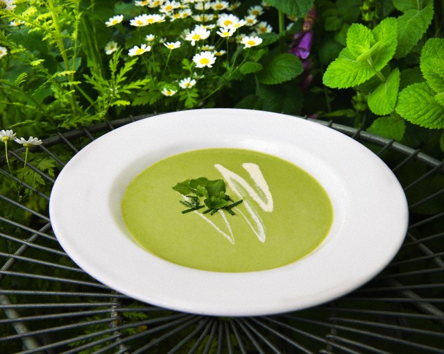 Bowl of mint pea soup