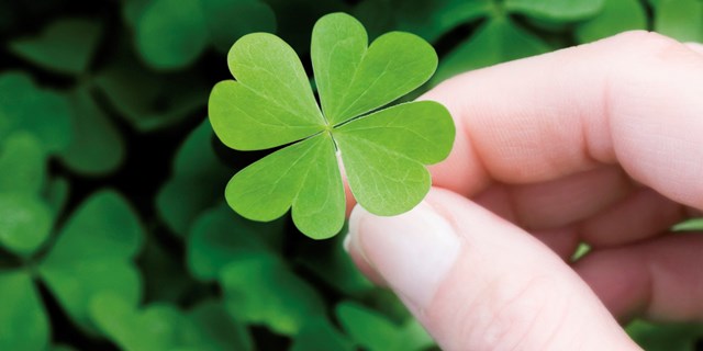 Woman holding four-leaf clover, close-up