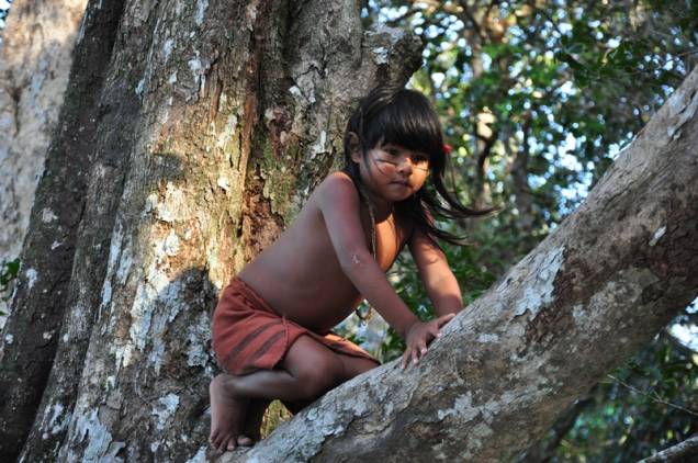 Tainá - A Origem: ela vive grandes aventuras para defender a floresta