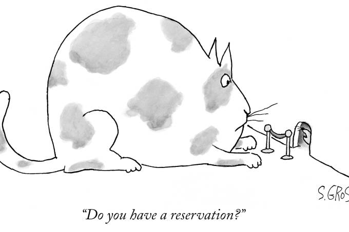 “Do you have a reservation?”