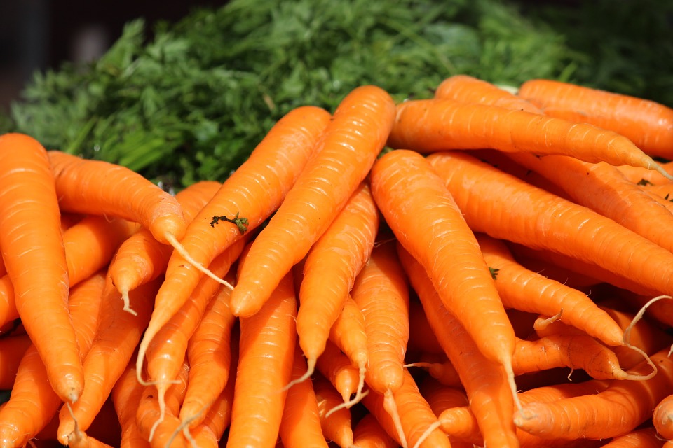 the-carrot-410670_960_720