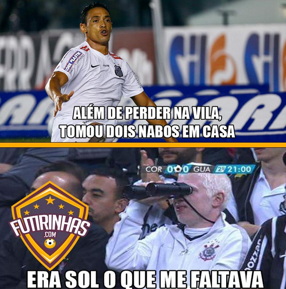 timao1