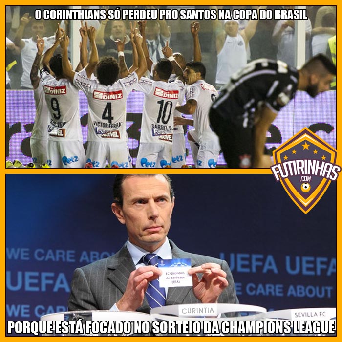 timao2