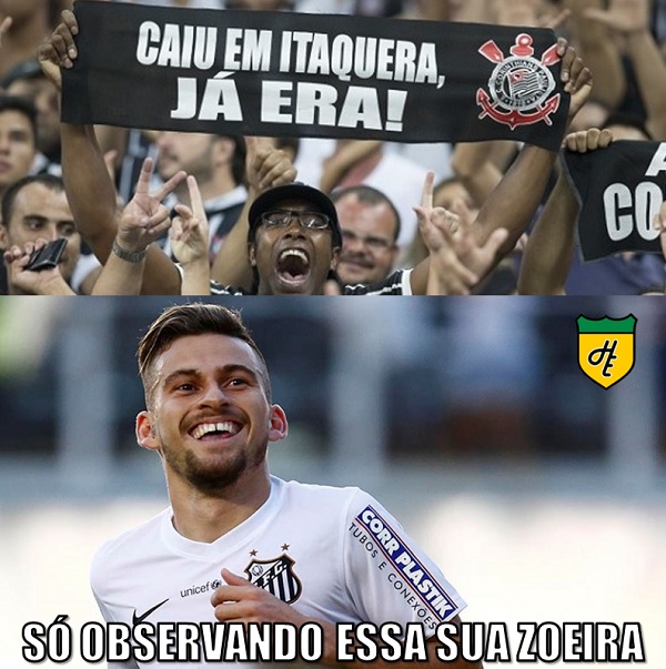 timao5