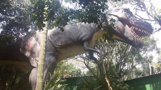 Tiranossauro Rex: um dos dinossauros mais famosos, viveu na América do Norte e tinha até 6 metros de altura