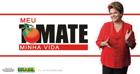 tomate81
