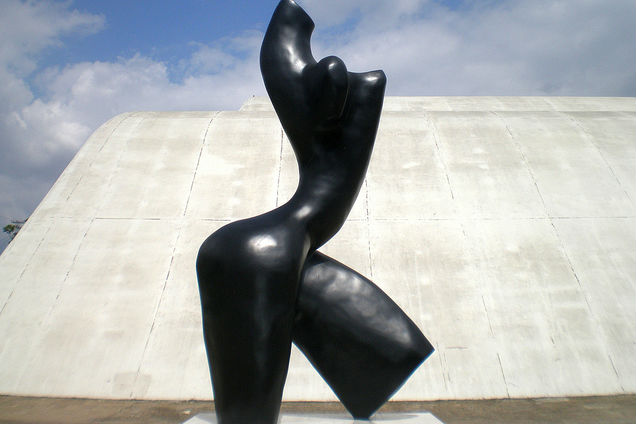 Torso Negro, de Vera Torre