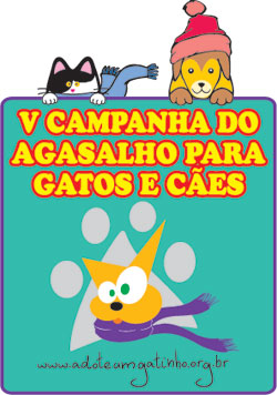 v-campanha-do-agasalho-aug