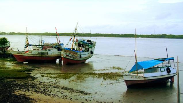 Um mundo desconhecido: o documentário Expedição Viva Marajó mostra as desigualdades do arquipélago brasileiro