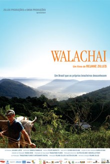 Walachai: comunidade rural no sul do Brasil se comunica por dialeto raro