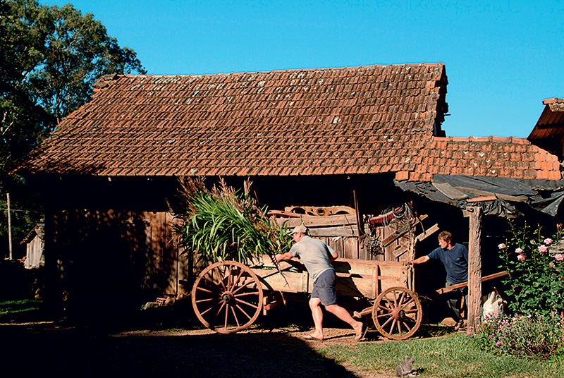 Walachai: cenário do filme de Rejane Zilles: à margem de tudo