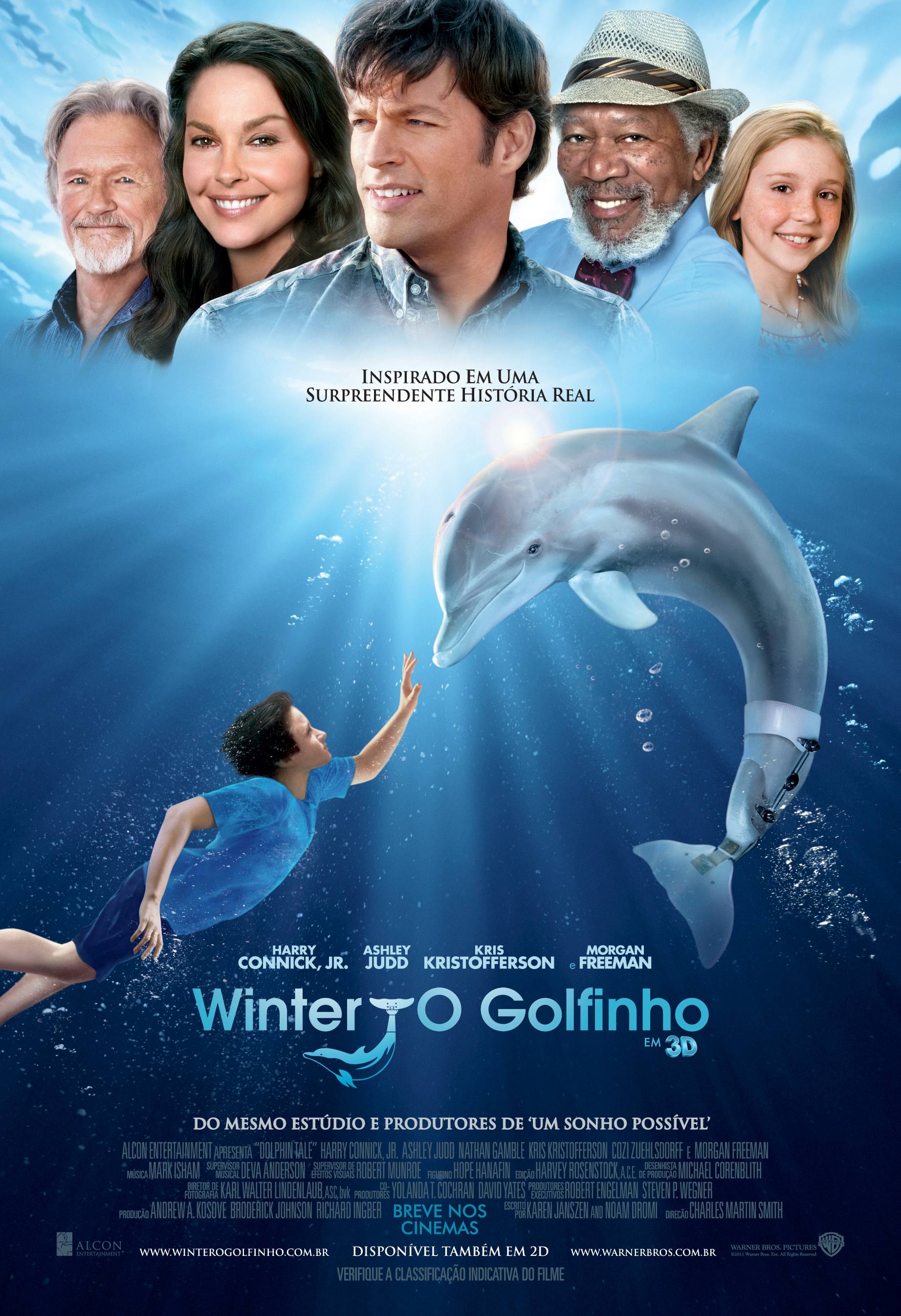 winter-o-golfinho-poster.jpeg