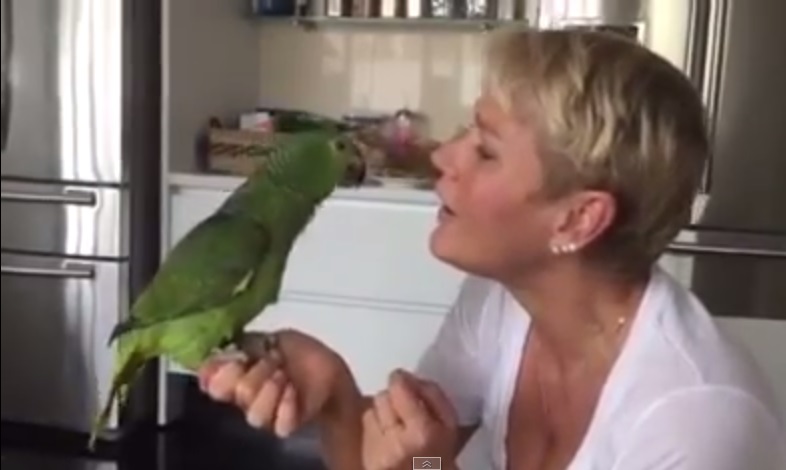 Xuxa canta Ilariê com papagaio de estimação