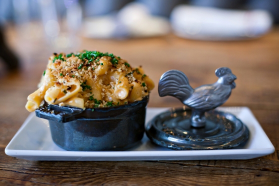 yardbird-southern-table-bar_macaroni-and-cheese-thumb-558×372-thumb-558×3721