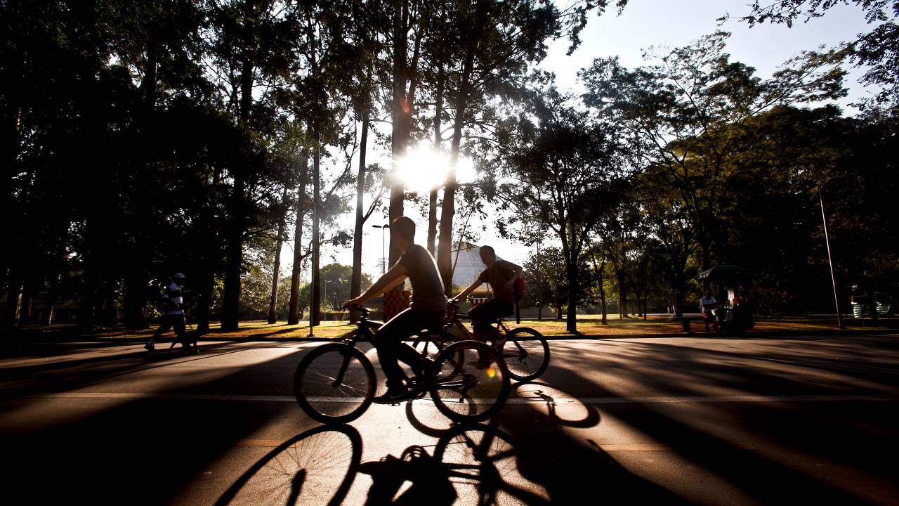 parque do ibirapuera bicicleta