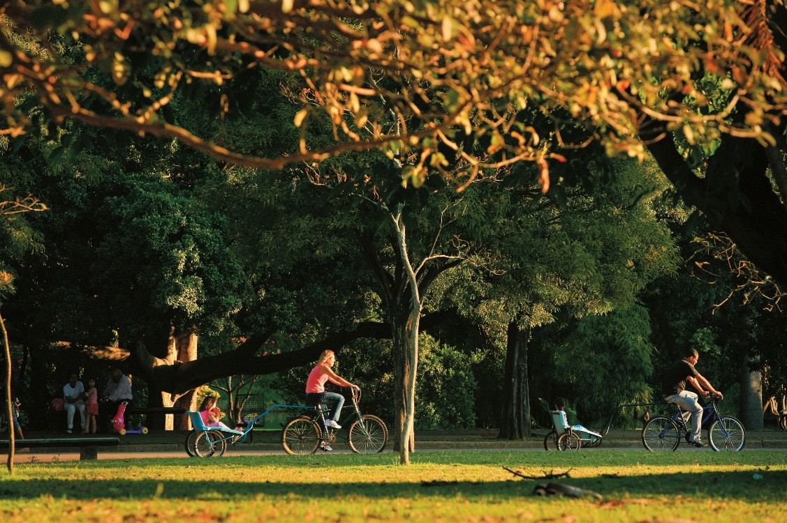 sem-titulo.jpeg Parque do Ibirapuera