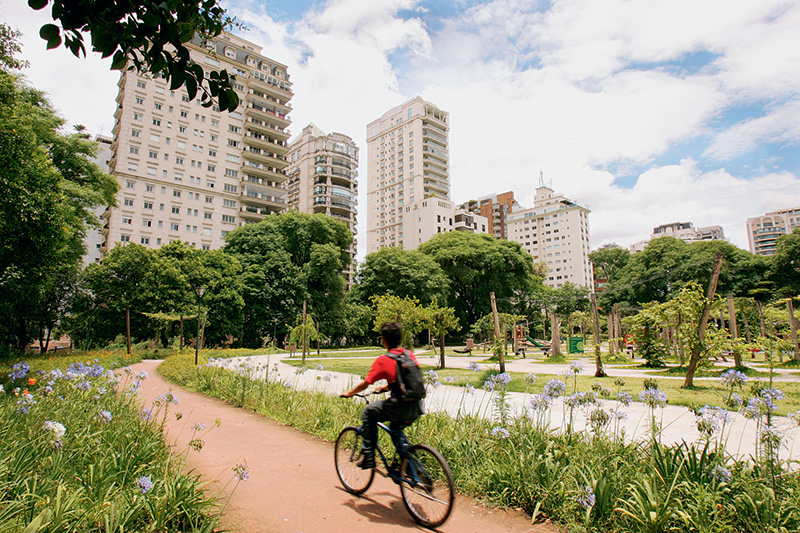 1.jpeg Capa Eleições Ed. 43 - SERRA - Faz caminhadas no Parque do Povo e gosta de levar os netos ao Villa-Lobos