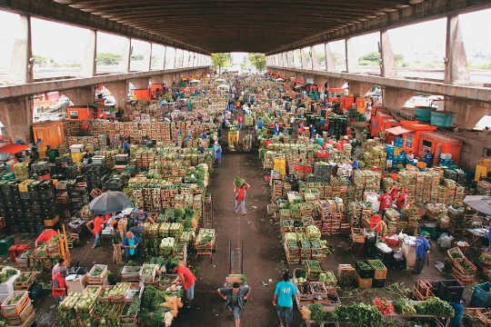 A imagem mostra uma feira de verduras na Ceagesp. Local é um grande salão, cheio de boxes recheados de caixas com verduras e frutas.
