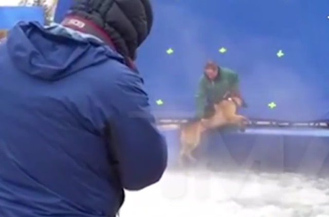 Pré-estreia do filme ‘Quatro vidas de um cachorro’ é cancelada