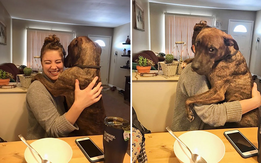 Após adoção, cachorro agradece nova dona com abraços diários