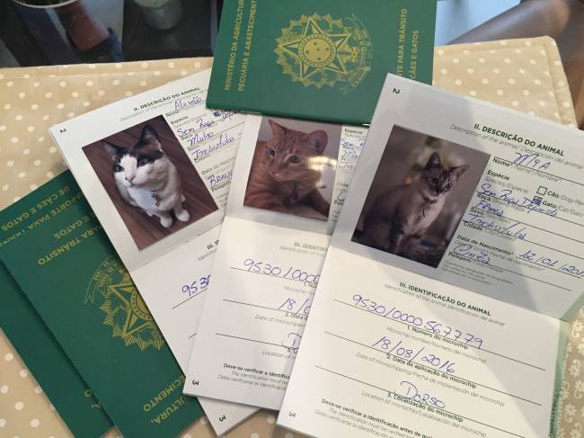 passaporte animal