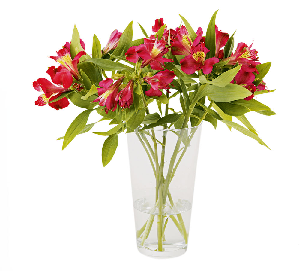 Compras: três opções de cesta para o Dia dos Namorados