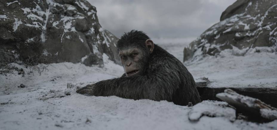Planeta dos Macacos A Guerra