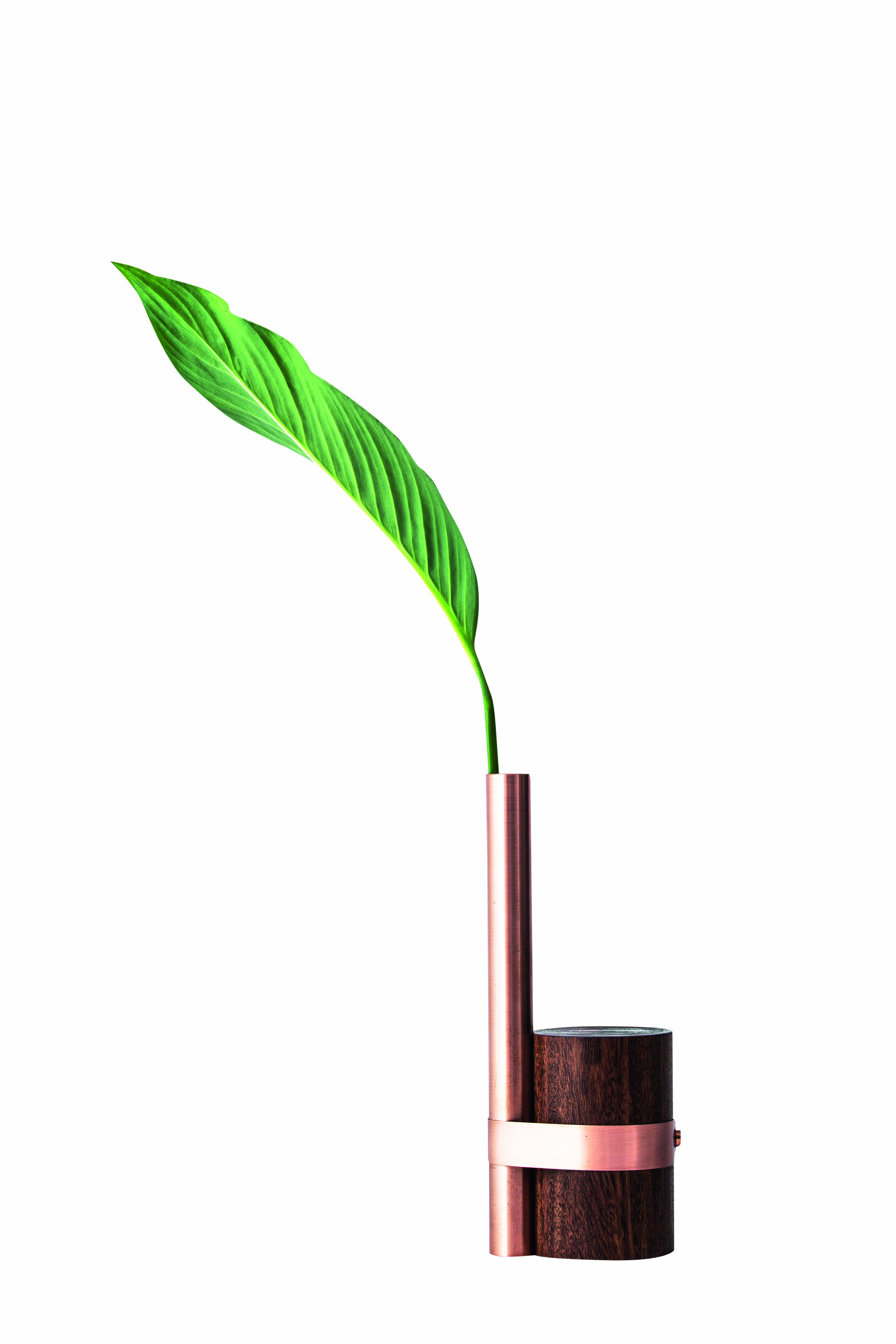 vaso p&oacute;s-tropical (1)-alta.jpg