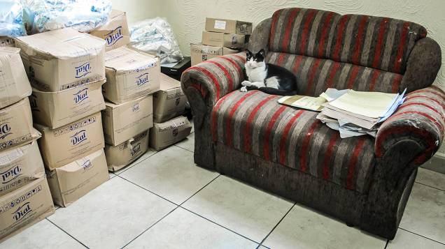 33º DP, em Pirituba: sala do delegado de plantão tem pilha de caixas e até gato