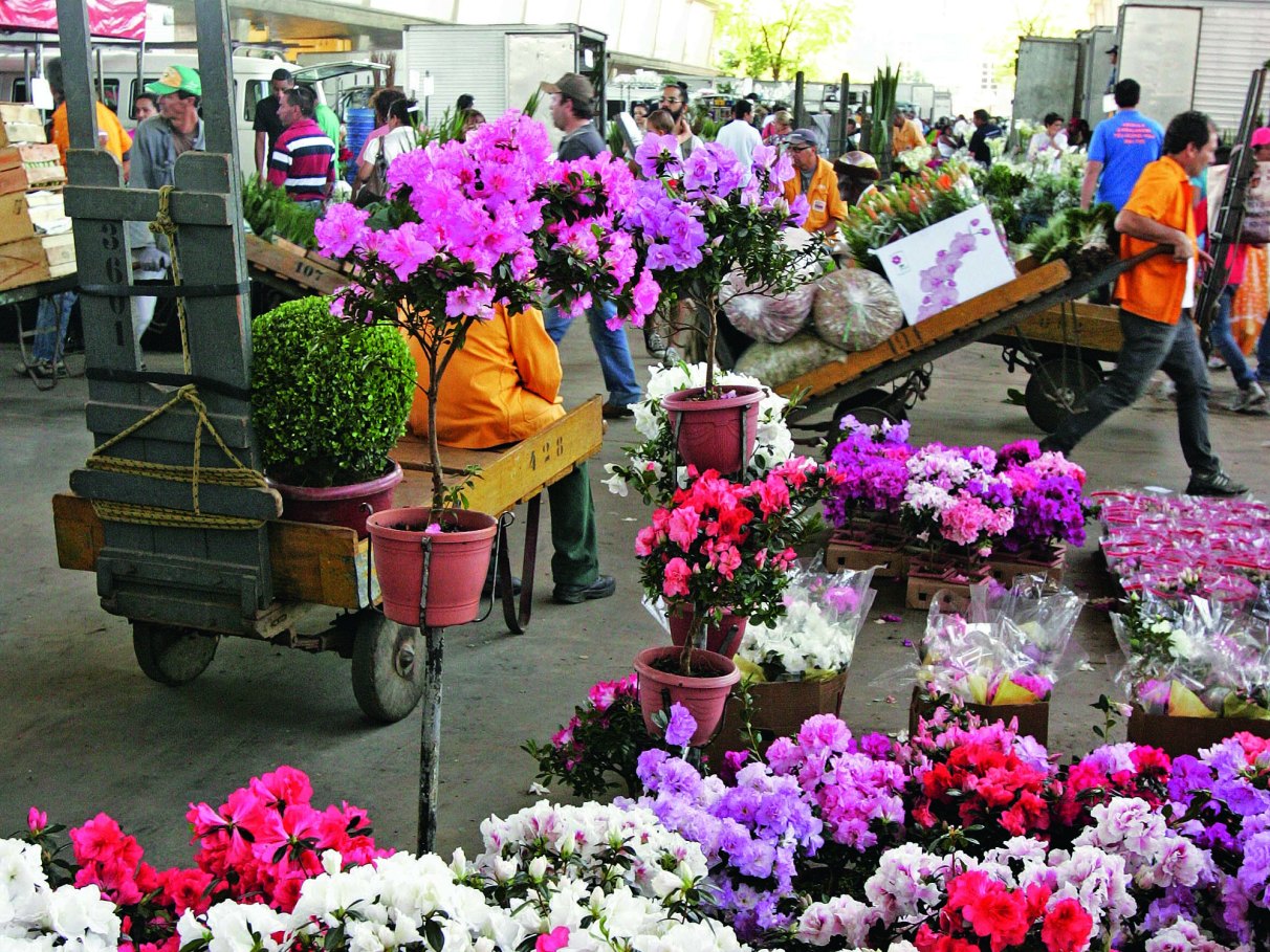 Cinco dicas para visitar a Feira de Flores da Ceagesp | VEJA SÃO PAULO