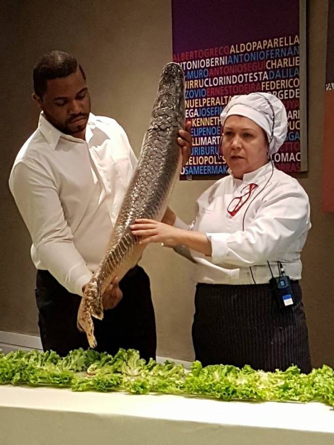 chef cleo ressetti_pirarucu