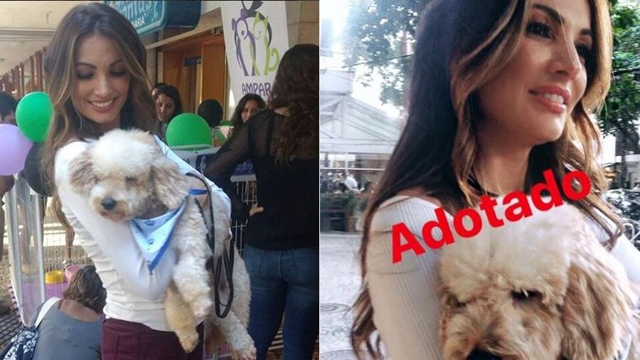 Patrícia Poeta adota cachorrinho e pede sugestão de nome