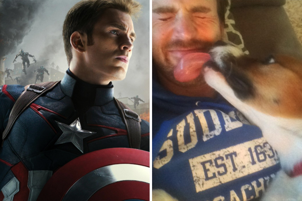 Chris Evans reencontra cachorro de estimação em vídeo adorável