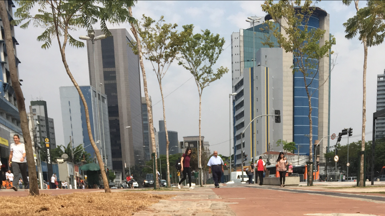 Unidades Educacionais da DRE Butantã participam de revitalização do Largo  da Batata