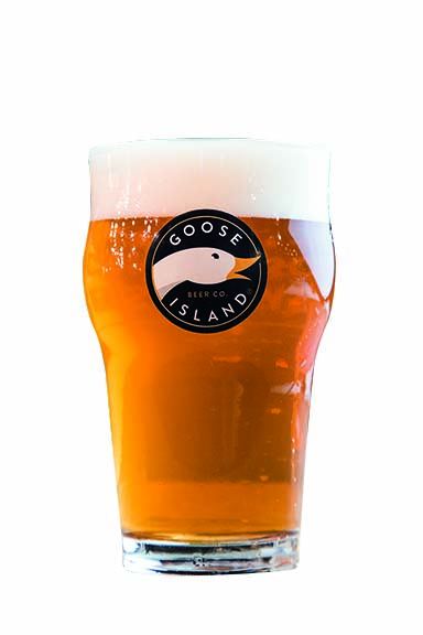 Goose Island IPA: perfumado e de amargor equilibrado