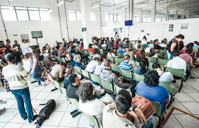 Hospital veterinário público do Tatuapé