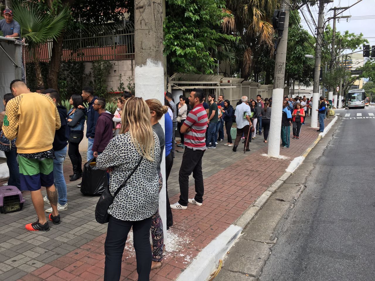 fila para adoção