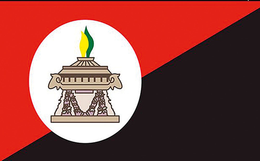 Bandeira do Bairro do Ipiranga.jpg