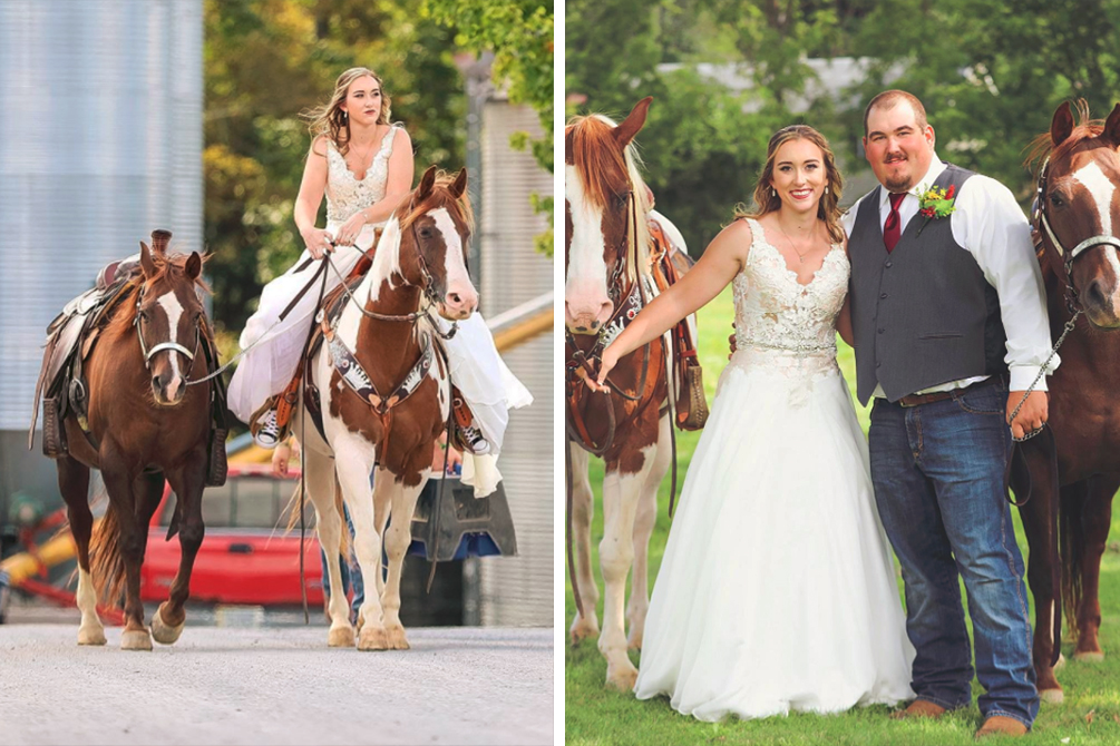 Cavalo rouba a cena no casamento ao abrir um sorrisão em foto
