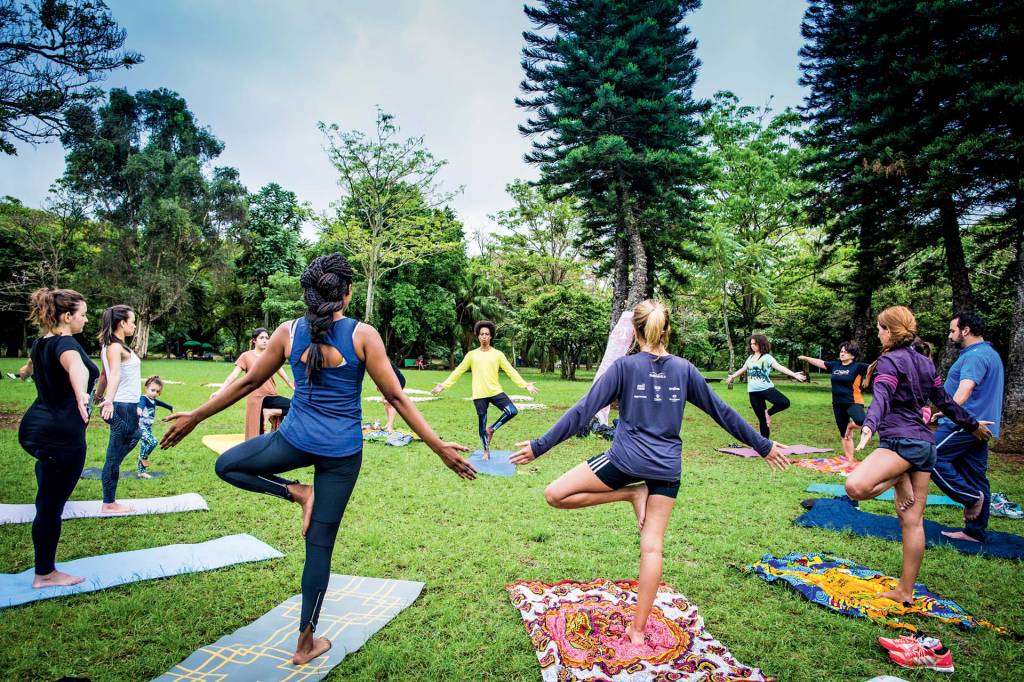 Imagem mostra círculo de praticantes de ioga no Ibirapuera