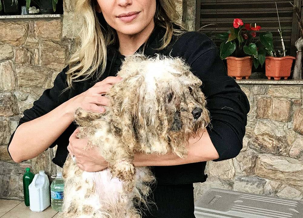 A imagem mostra Luisa Mell segurando um cachorro